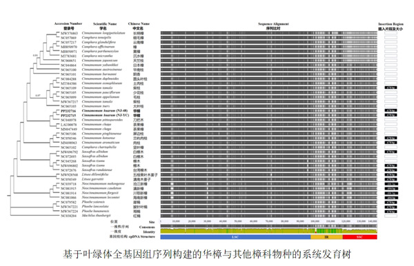 efb96bf3854d09db56443c78c6c2895.jpg
